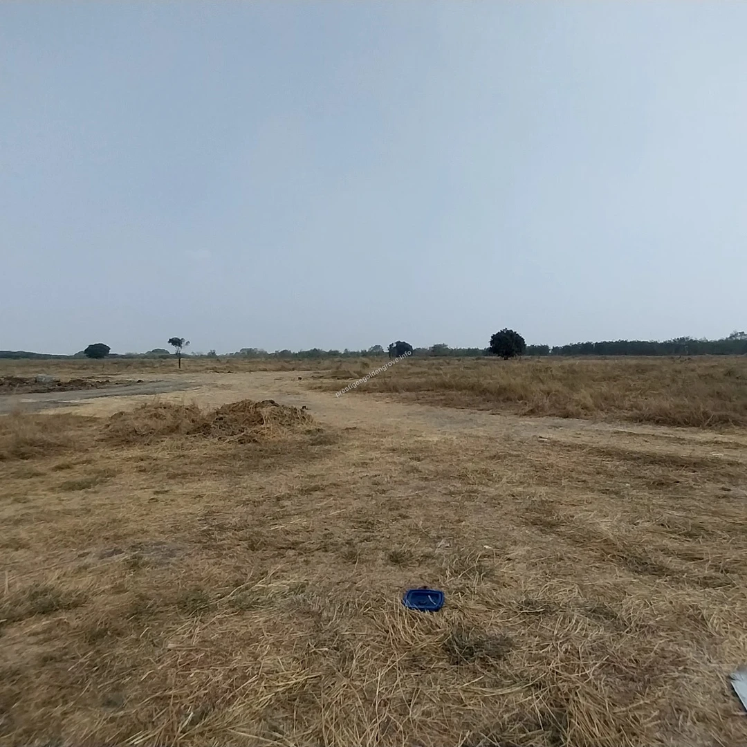 Terrain Prep Expansive dry terrain and cleared vegetation showcasing the massive scale of the upcoming Prestige Golden Grove development