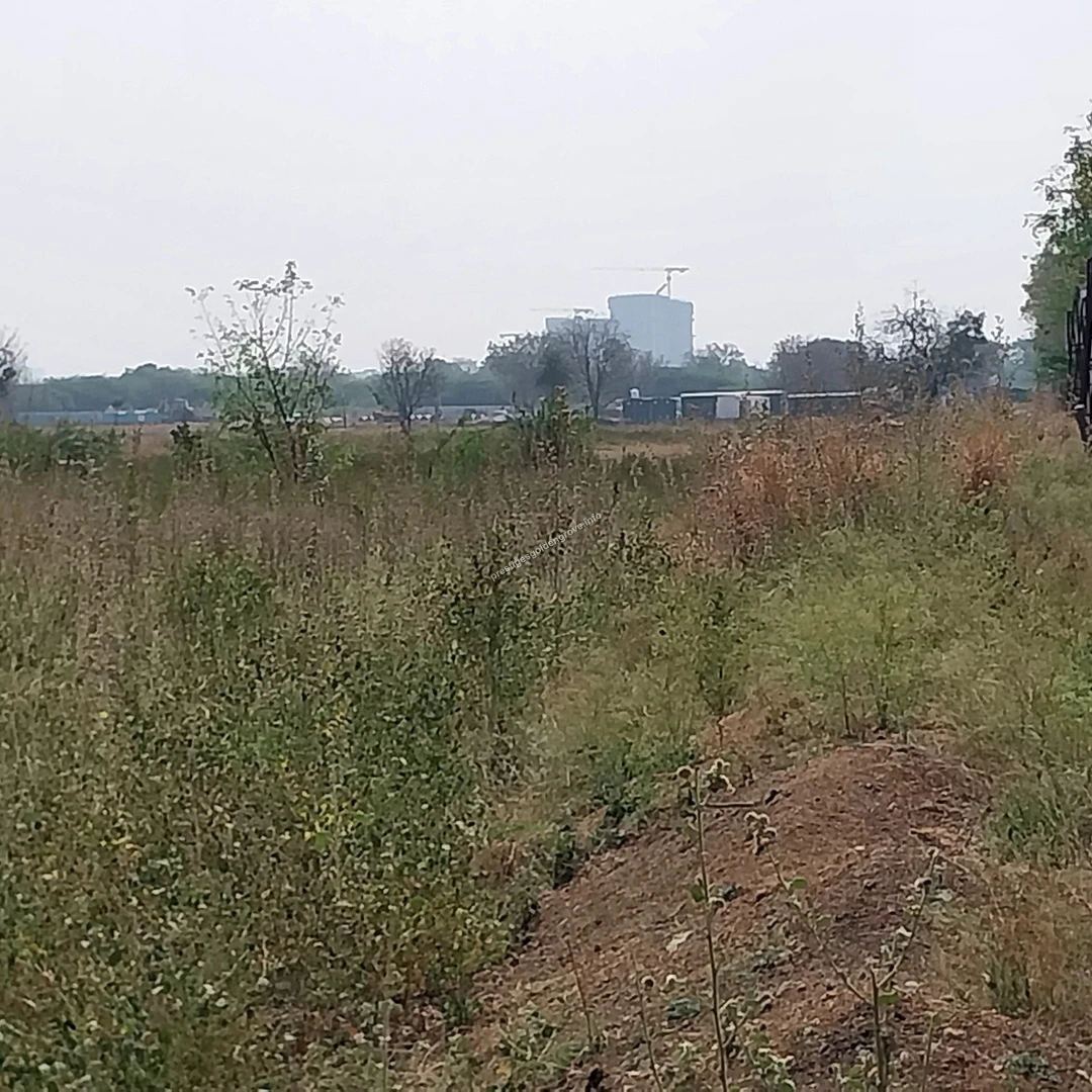 Boundary Fencing View from inside the perimeter fence looking out over the currently overgrown grassy sectors of the Prestige Golden Grove land