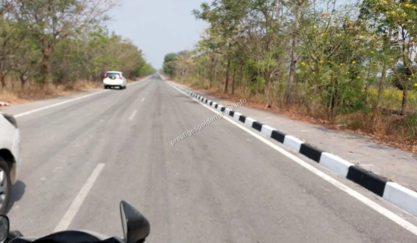 Suburban Roadway A smooth driving experience along the tree-lined Patancheruvu road, showcasing the excellent suburban infrastructure near Prestige Golden Grove